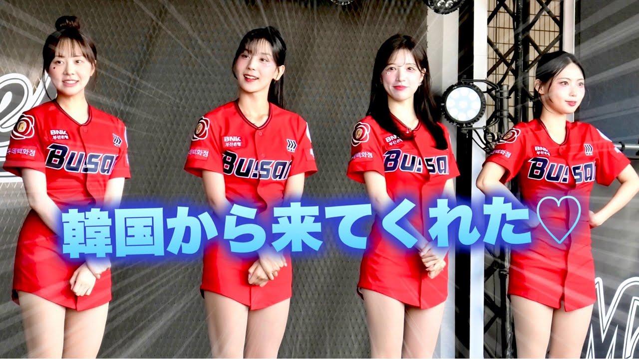 【チア@ZOZOマリン①】釜山ロッテチア × M☆Splash!! 夢のコラボ！ どえらくキレイだった♡ / 千葉ロッテマリーンズ/ 韓国 / Korean ＆ Japanese Cheer Girl
