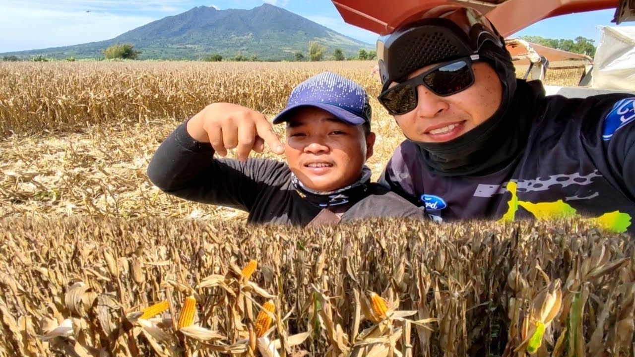 HARVEST TAYO MGA KABURAK! UNANG COLLAB W/JRE VLOG!🤗 MASAGANANG ANI PARA SA LAHAT!🌽 v96