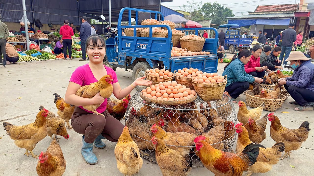 Harvest 1000+ Eggs & Chickens From Farm, Use Truck Transport Go to Market Sell