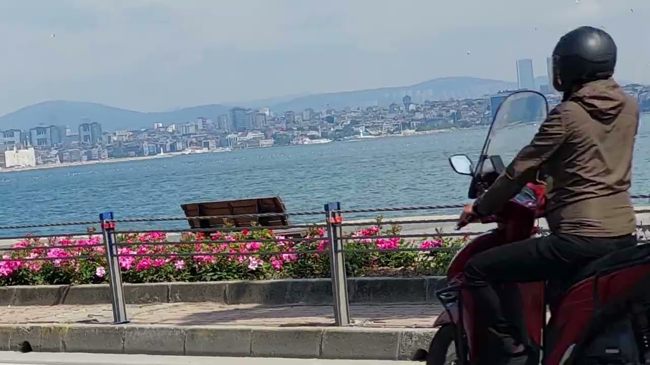 Dolphine fish spotted at eminonu basphorus istanbul A very beautyfull day at istanbul #travel #vlog