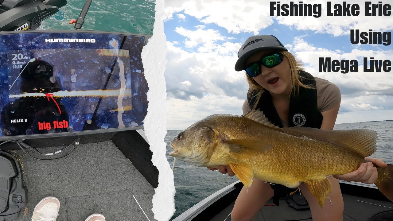 Fishing Mega Live Lake Erie Freshwater Drum (Smallmouth Bass Summertime Search) #girlswhofish