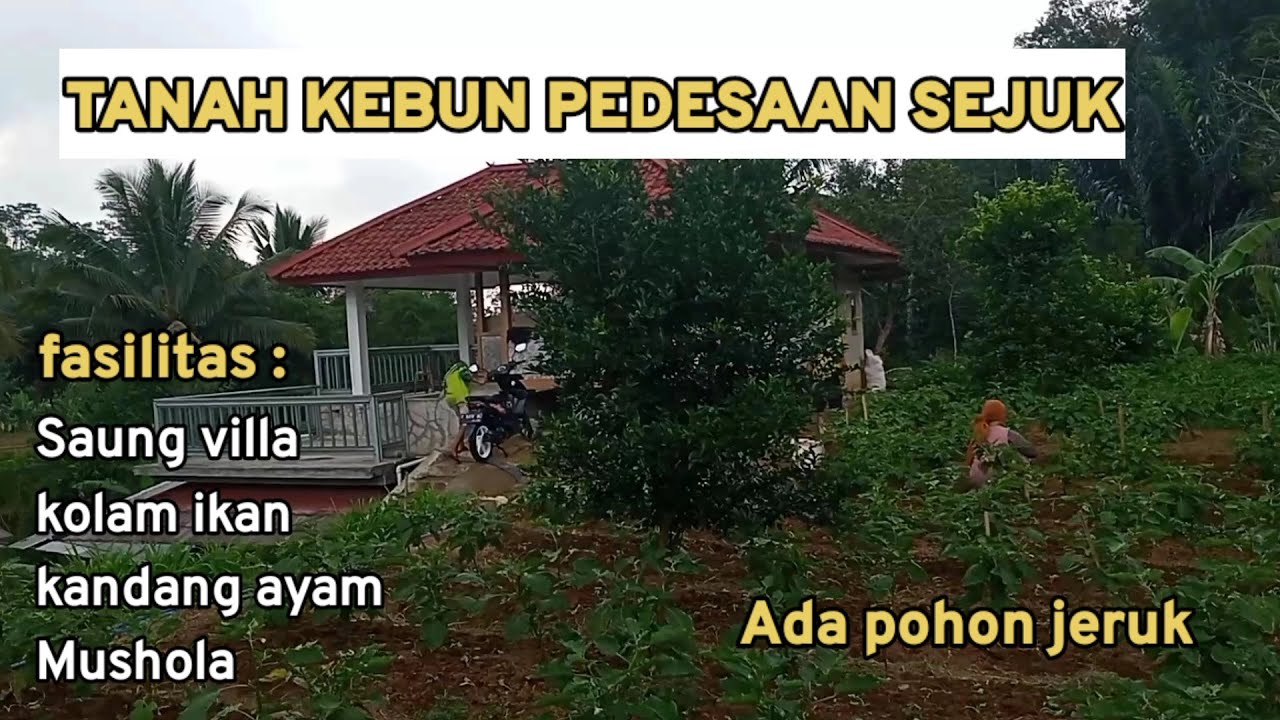 DIJUAL TANAH KEBUN PEDESAAN SEJUK PURWAKARTA//FASILITAS SAUNG VILLA, KOLAM IKAN, KANDANG AYAM