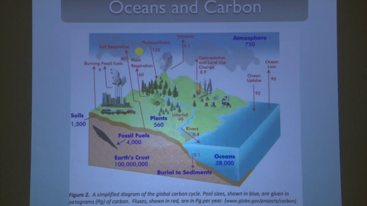 Cody Award Public Lecture: The Role of Ocean Turbulence in Climate