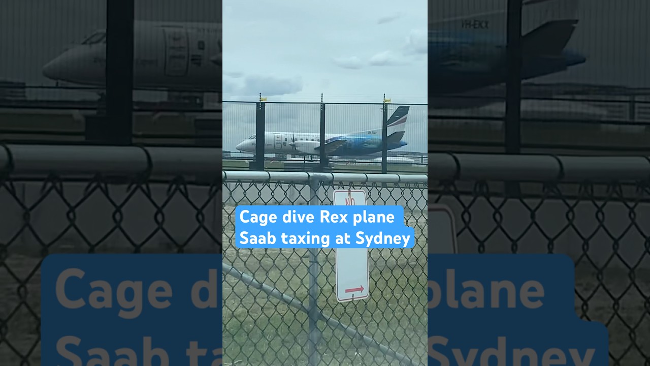 Cage dive Rex Saab plane taxing at Sydney