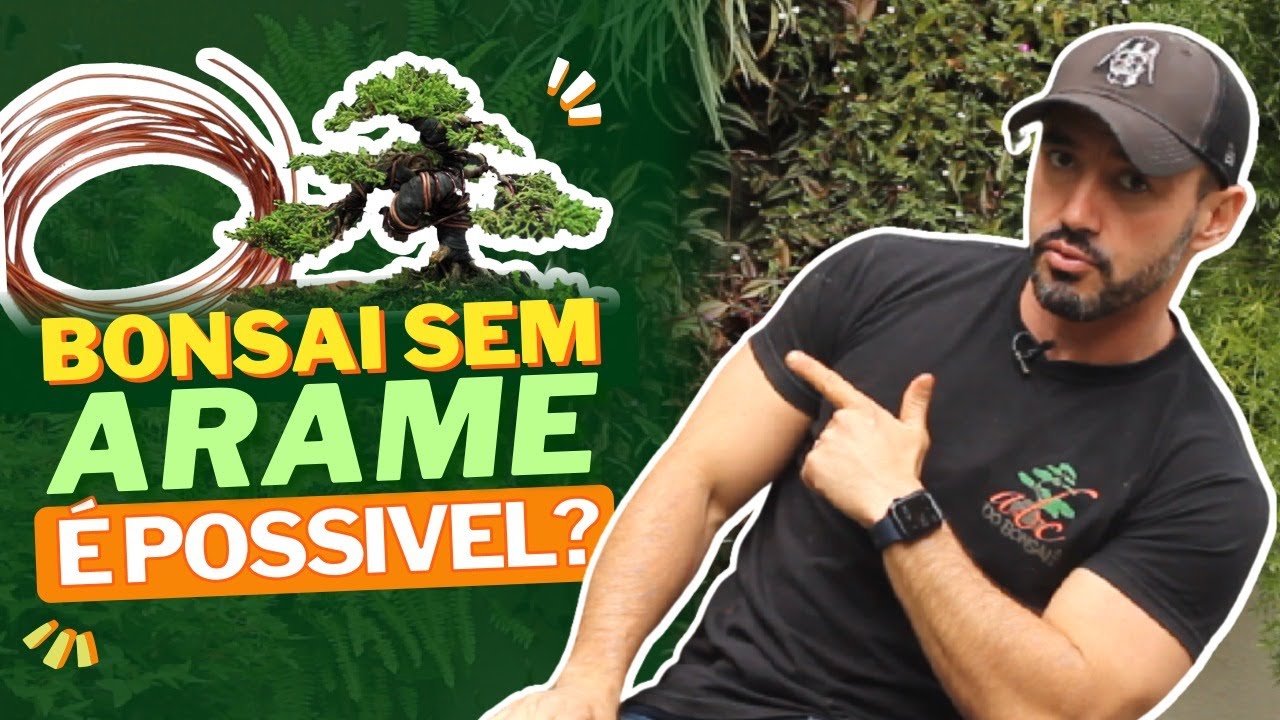 BONSAI SEM ARAME É POSSIVEL? -  ABC DO BONSAI RESPONDE