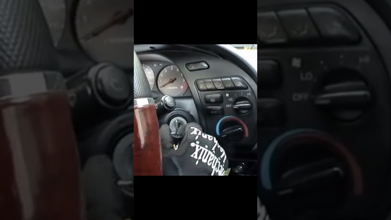 cat sounded like a starting car engine