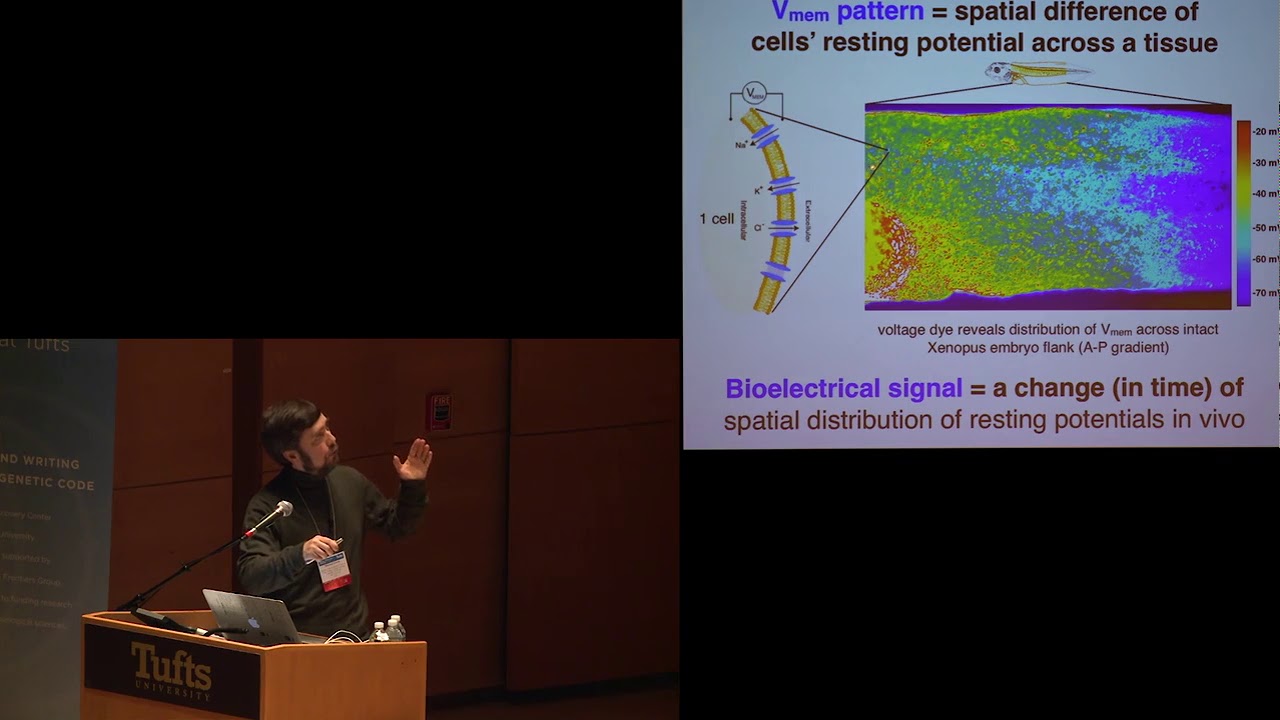 Mike Levin's talk