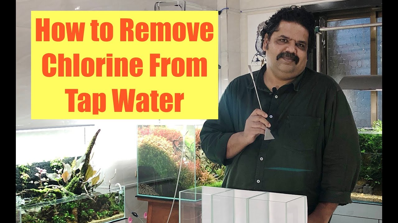 HOW to Test Tap Water for Chlorine | Howto Save Fish from Chlorine Poisoning? | Aquarium Water Test