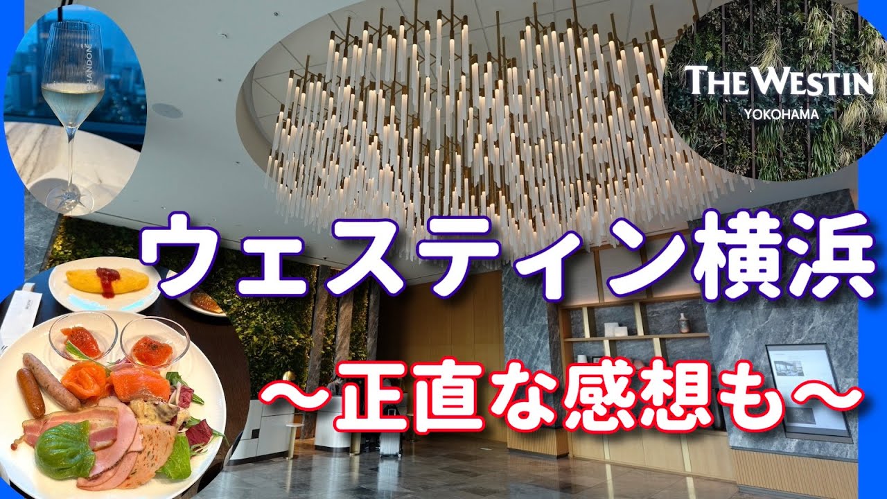 【ホテル飯ドットコム 49】「ザ・ウェスティン横浜 朝食バフェ〜ラウンジ 〜正直な感想も〜」 #横浜 #横浜ホテル #ザウェスティン #横浜マリオット #最新版
