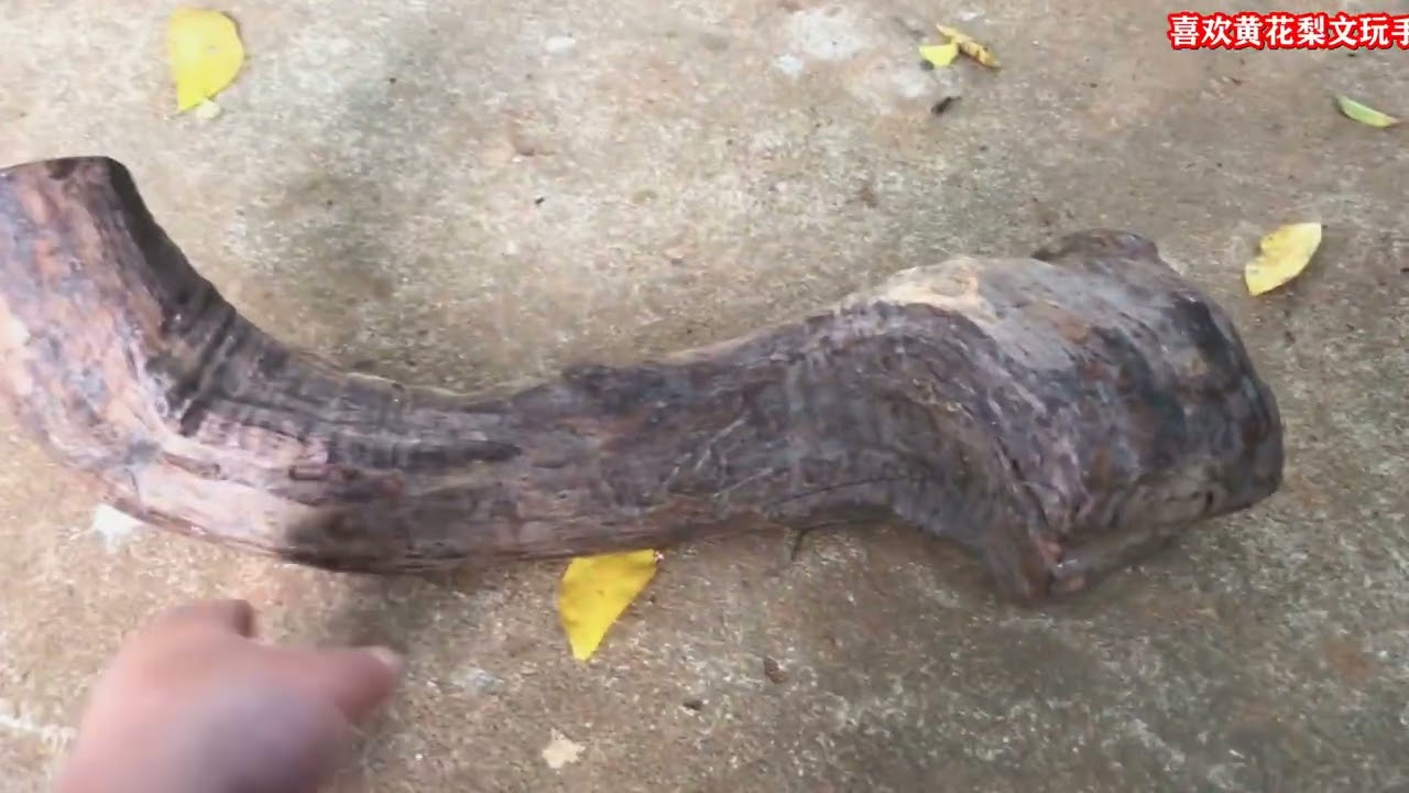 4500一斤的海南黄花梨，紫油梨老料，这个价格会不会亏