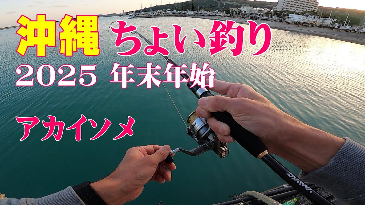 沖縄での短時間釣行　熱田漁港で「ちょい投げ釣り」「五目釣り」。アカイソメを使っています。4種類の魚をGET!しました。