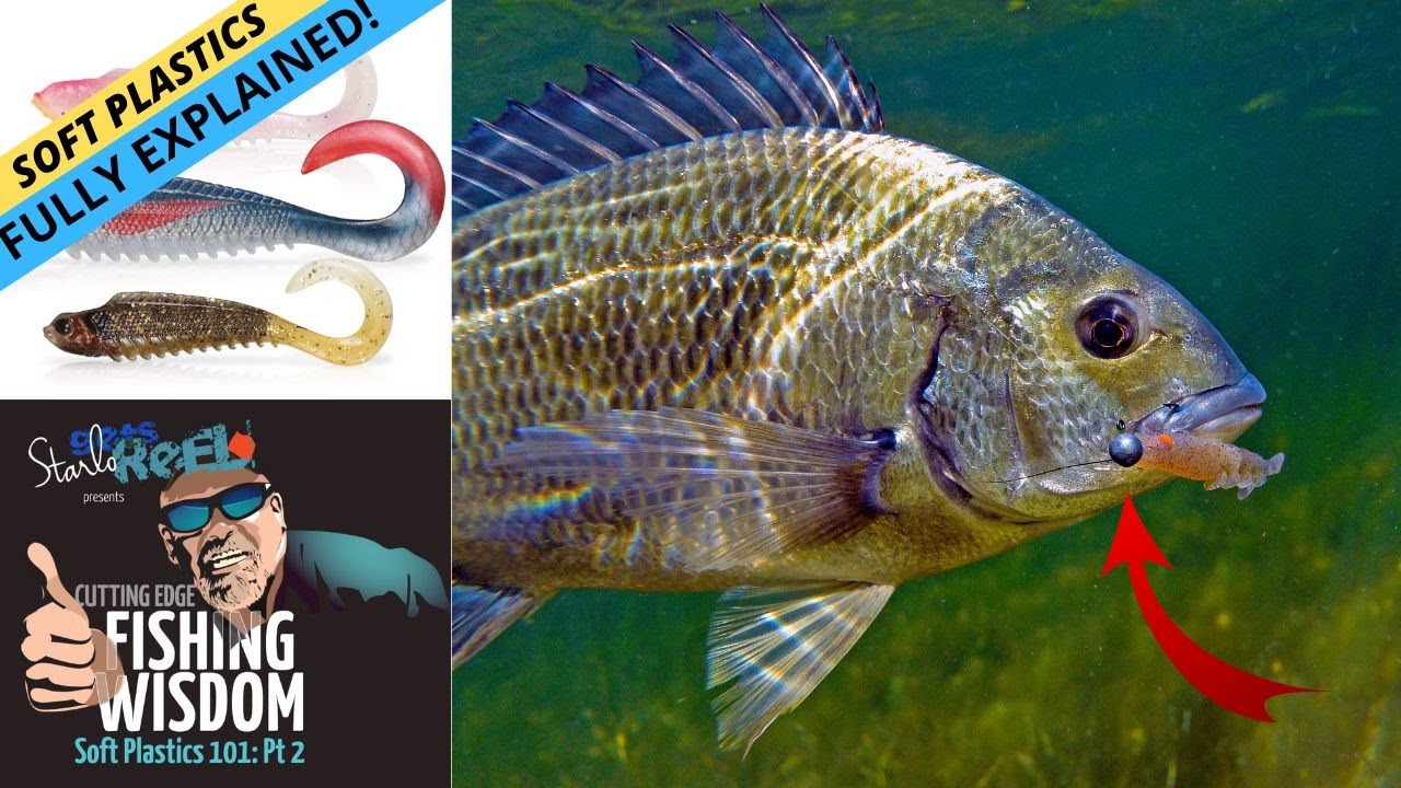 FISHING WISDOM &mdash; Soft Plastics 101 Part 2: Video & Podcast