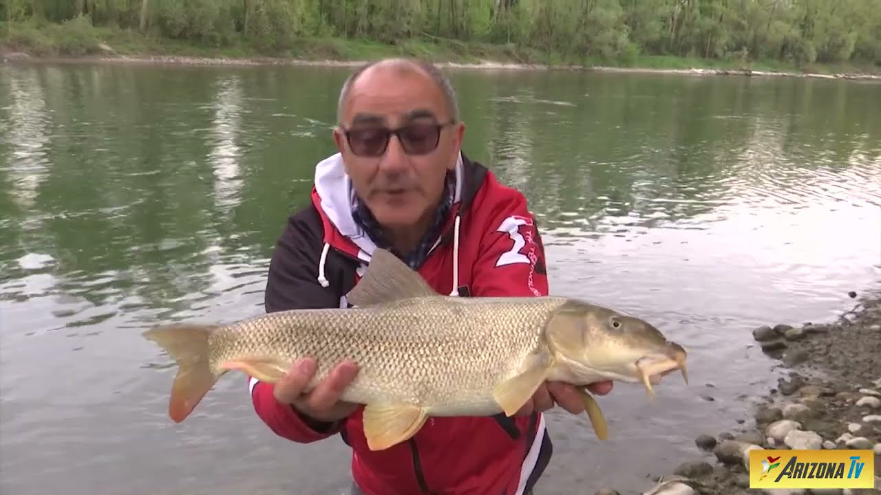 MONDO PESCA - PARCO BISARCA RIVOLTA D'ADDA - TUTORIAL LENZE E FINALI - #pescasportiva