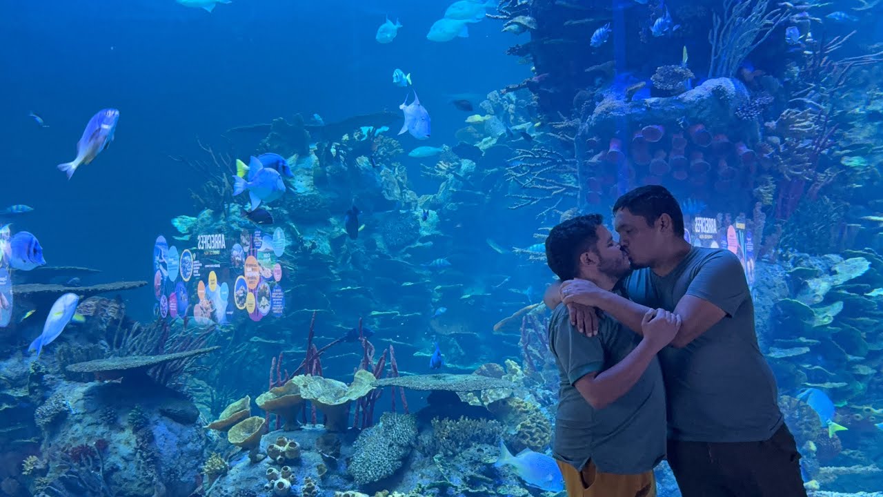 Sinaloa - Acuario Mazatlan 