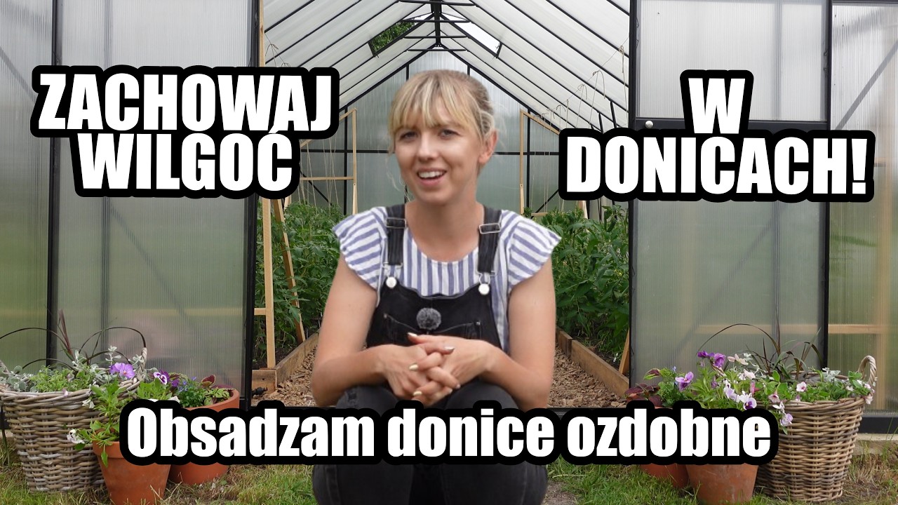 Obsadzam donice ozdobne przed szklarnią + co zrobić z cebulami po kwitnieniu