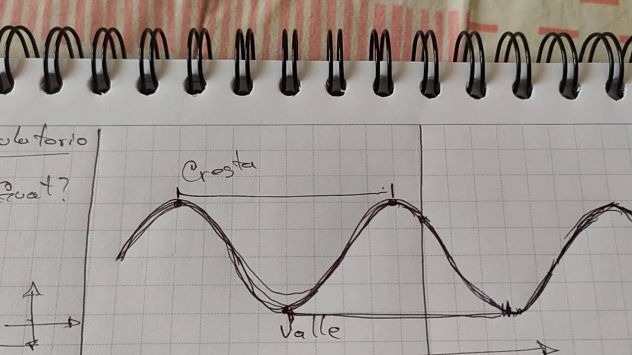 Movimiento Ondulatorio (Ondas) Física 11°