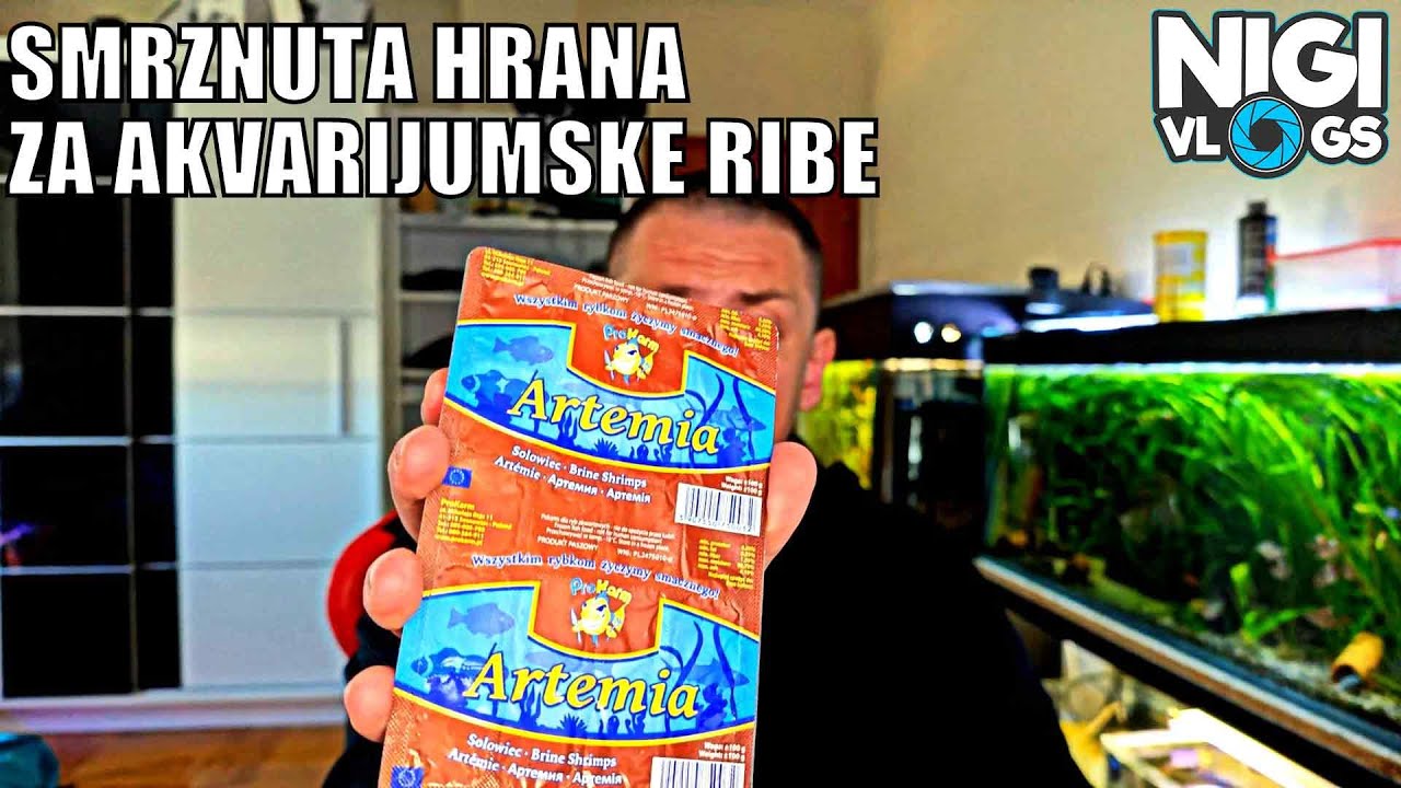 Smrznuta Hrana Za Ribe 🐟❄️ - Zamrznuta Artemija Za Rast i Boje Akvarijumskih Riba! #akvaristika