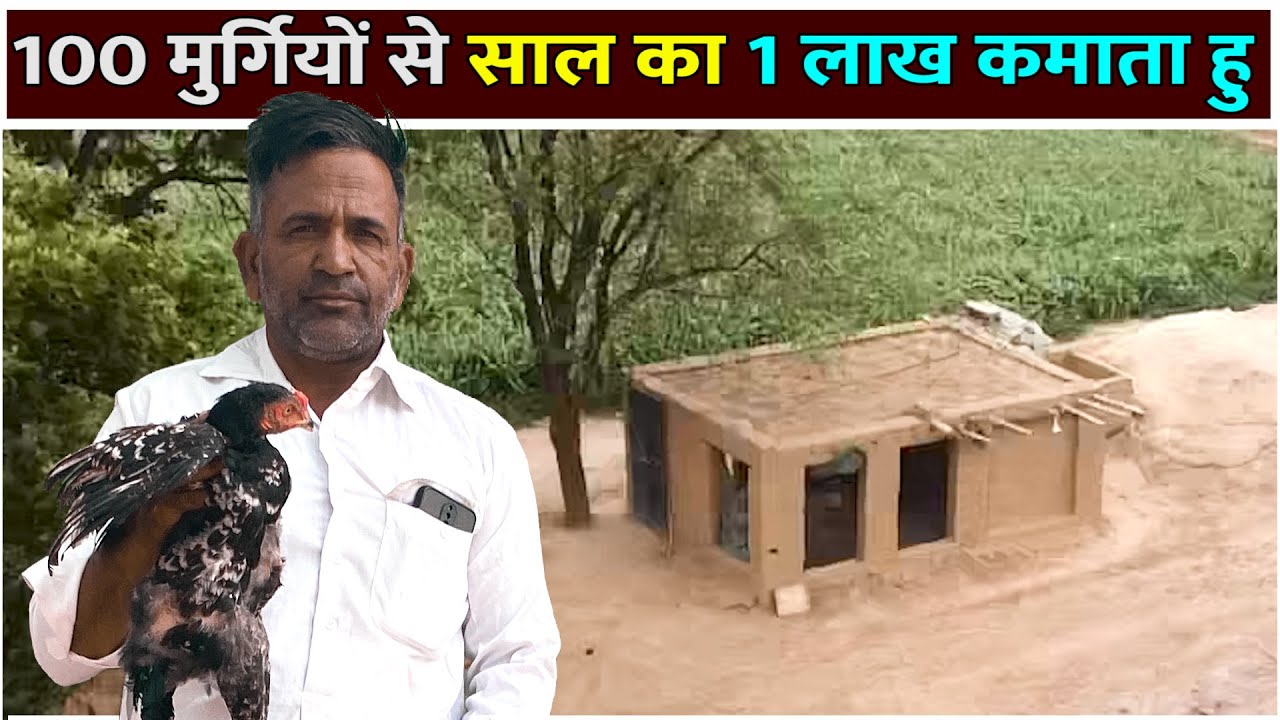 100 मुर्गियों से 1 लाख कमाई।Desi Murgi Farm Profit।Desi Chicken Business