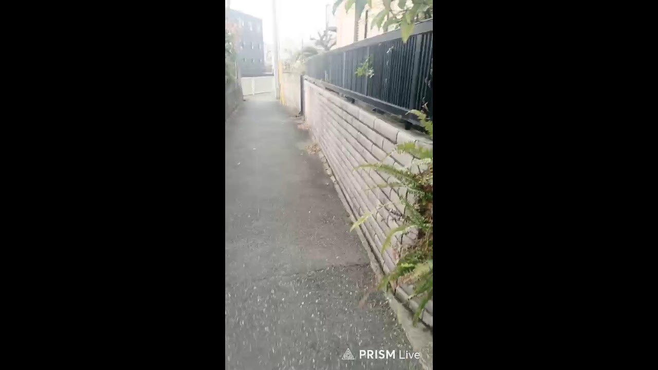歌舞伎町から帰宅