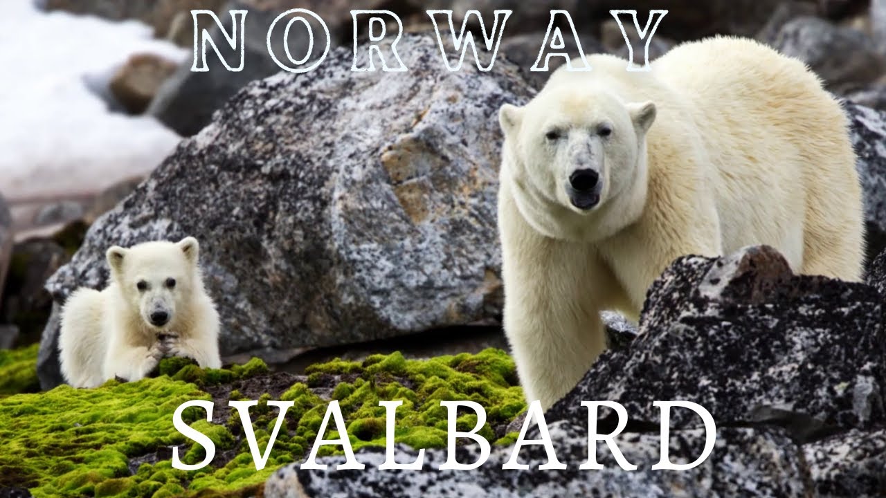 Svalbard: Norway's BEAUTIFUL Wonderland | Drone Footage & Relaxing Music