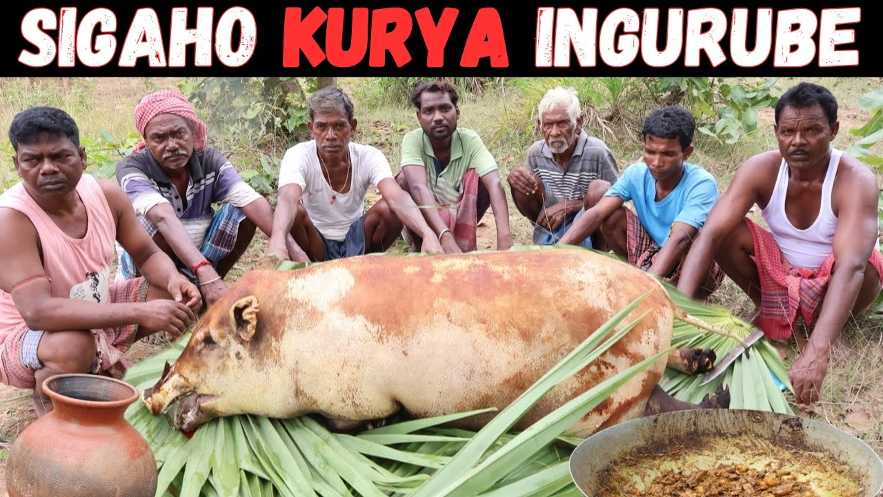 Kurya ingurube icyaha Kizajyana Benshi Mw'irimbukiro Kubera Kutamenya