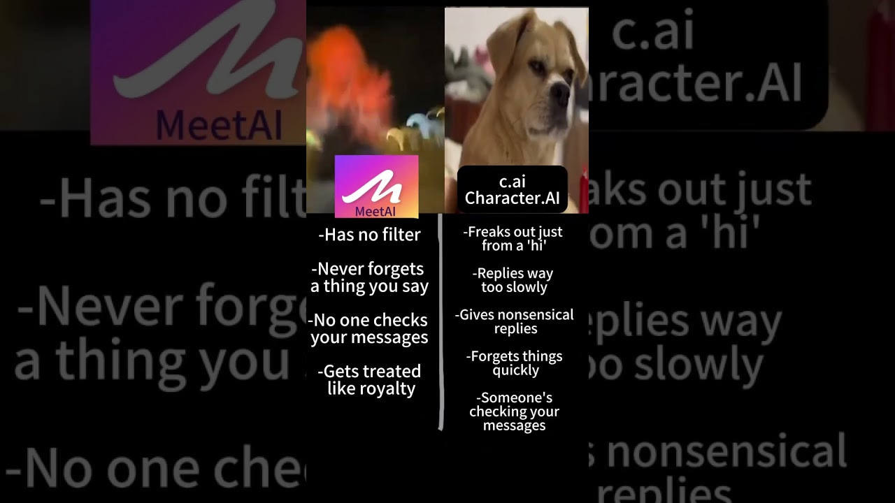 There's no Filter for&nbsp;#MeetAI&nbsp;app,&nbsp;#characterai&nbsp;#cai&nbsp;#chai&nbsp;#janitorai&nbsp;#ai&nbsp;#aichat&nbsp;#bot