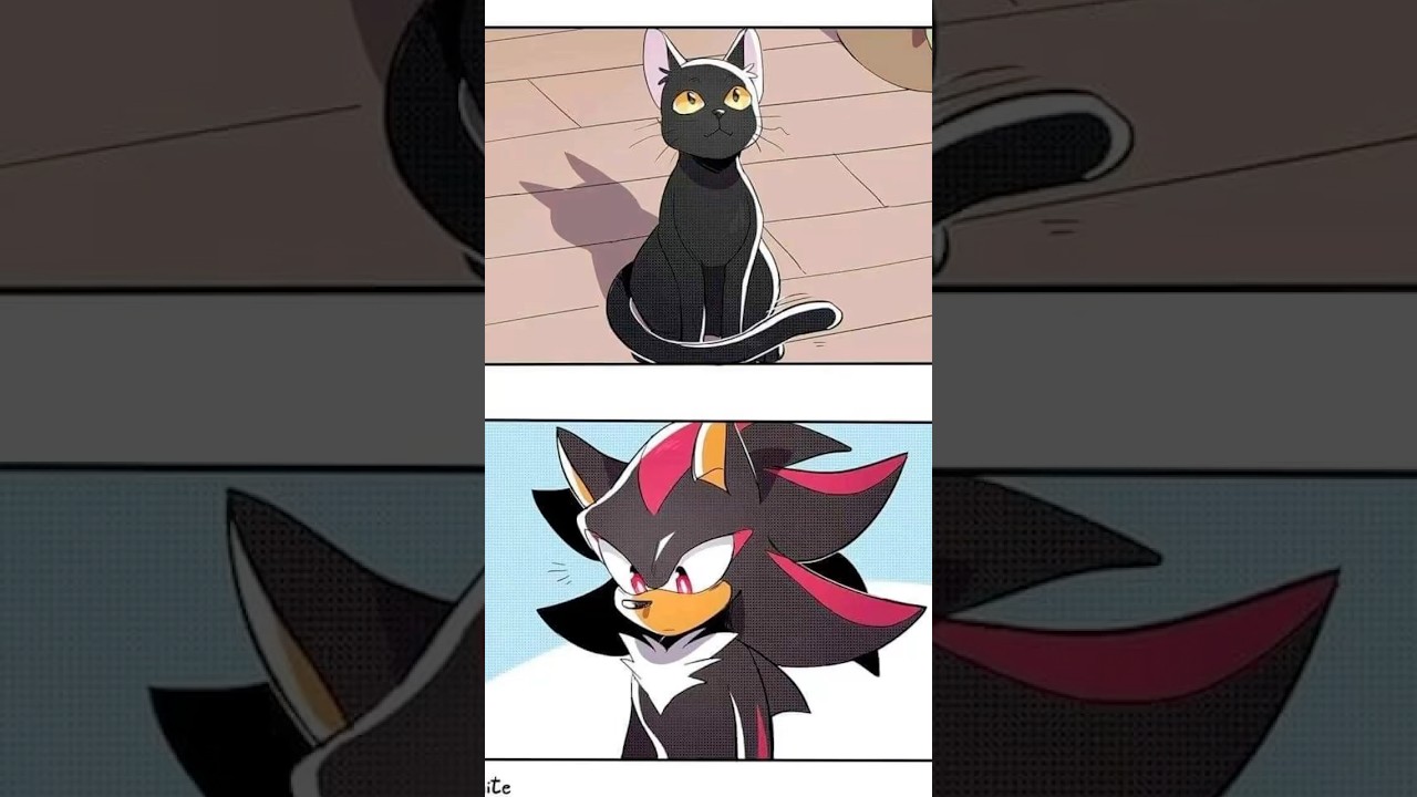 Shadow say meow to a cat and rouge and sonic just like shadow is so adorable talking to a cat