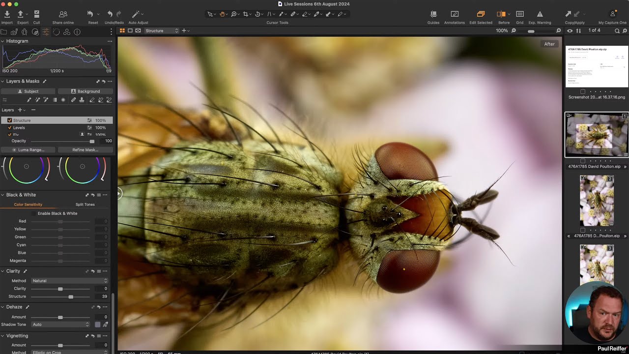 Live Editing Sessions - Capture One : 6th August 2024 (Levels, Histogram Stretching, Dynamic Range)