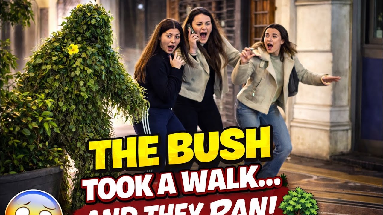 Bushman prank: YOU NEVER CHECK THE PLANTS 👀🌿#BushmanPrank #PrankLife #ViralMoments