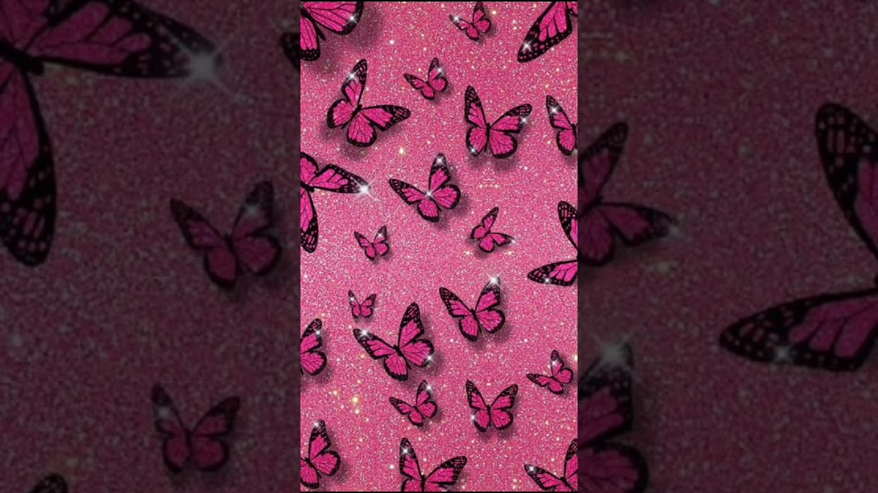 Beautiful Butterfly Wallpaper 🥰✨🥰