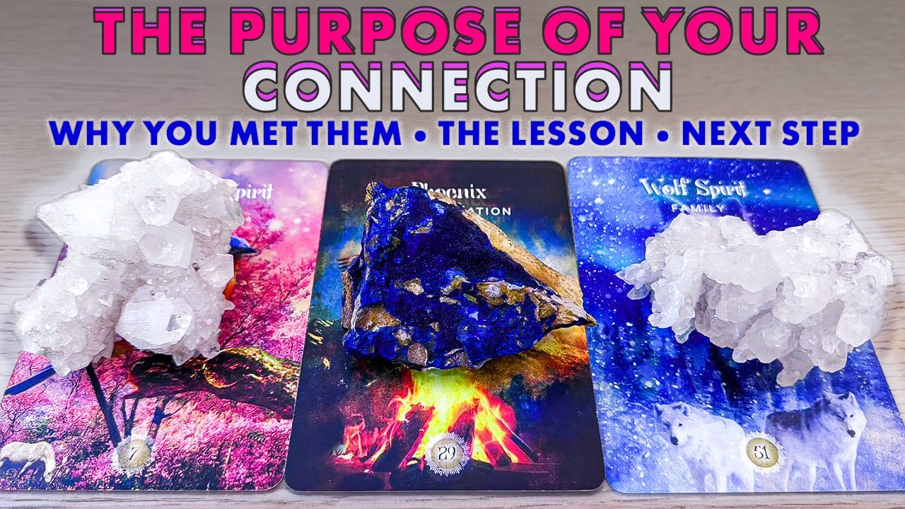 🌟 Why You Met Them 💫Your Lesson & The Purpose of This Connection | Pick A Card • Tarot Reading
