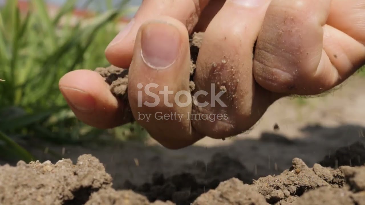CannaGrowGuy's Guide to Mastering Outdoor Cannabis