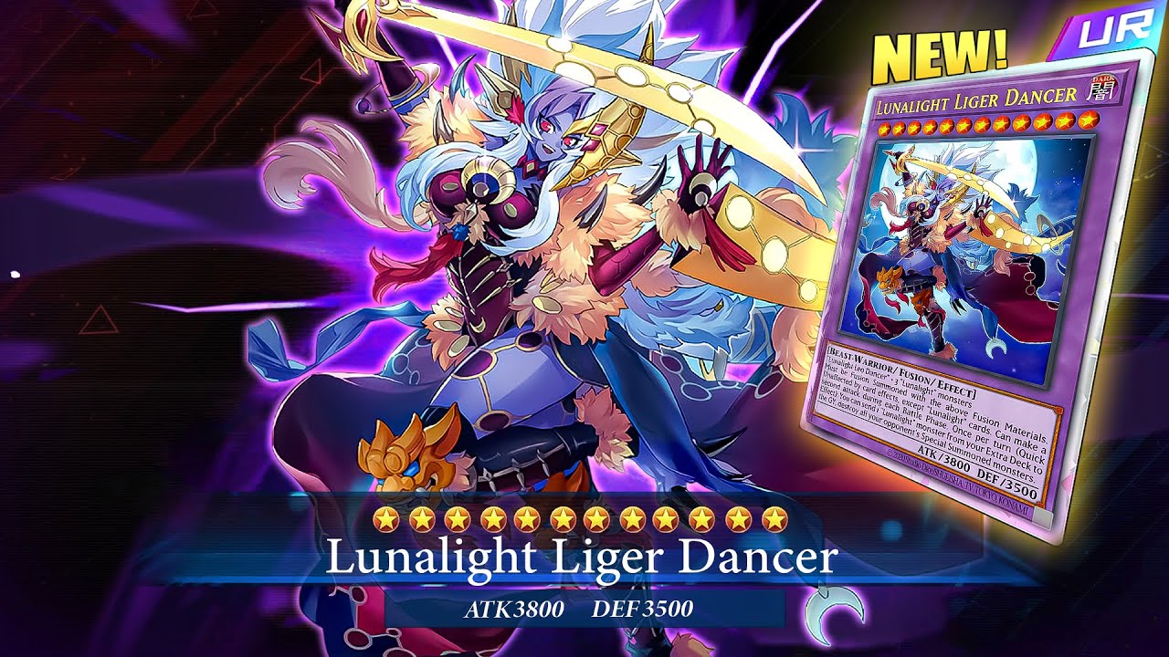 New LUNALIGHT Support Is INSANE!