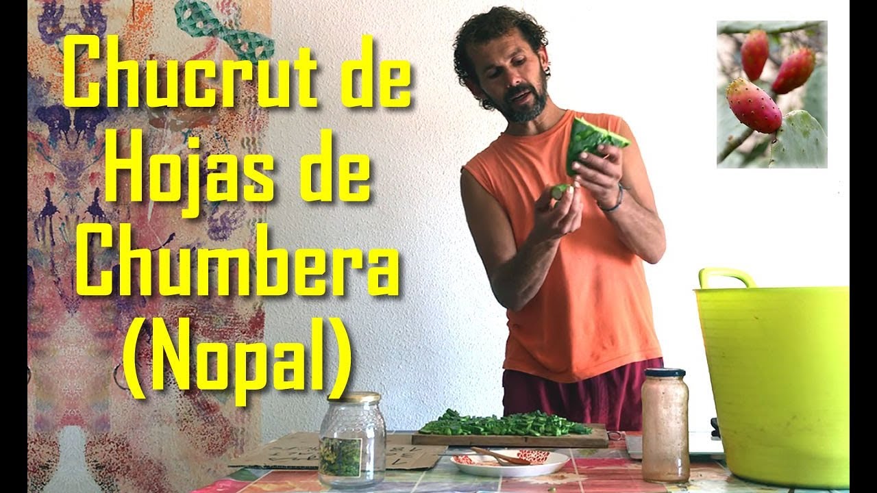 Chucrut de hojas de chumbera (nopal)
