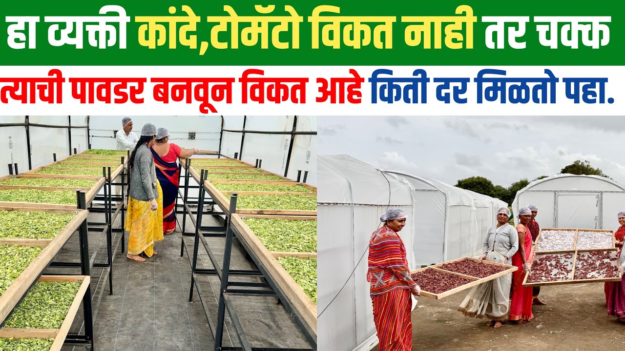 भाजीपाला प्रक्रिया उद्योग | bhajipala prakriya udyog | vegetable dehydration business |
