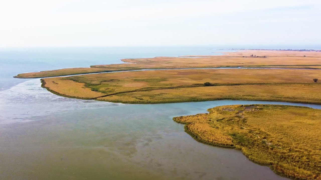 Где Дон впадает в Азовское море.