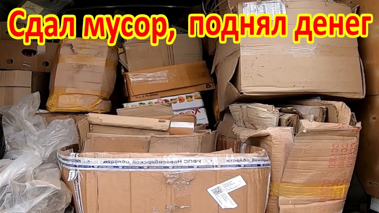 Сколько можно заработать на картоне и стекле в 2022 году