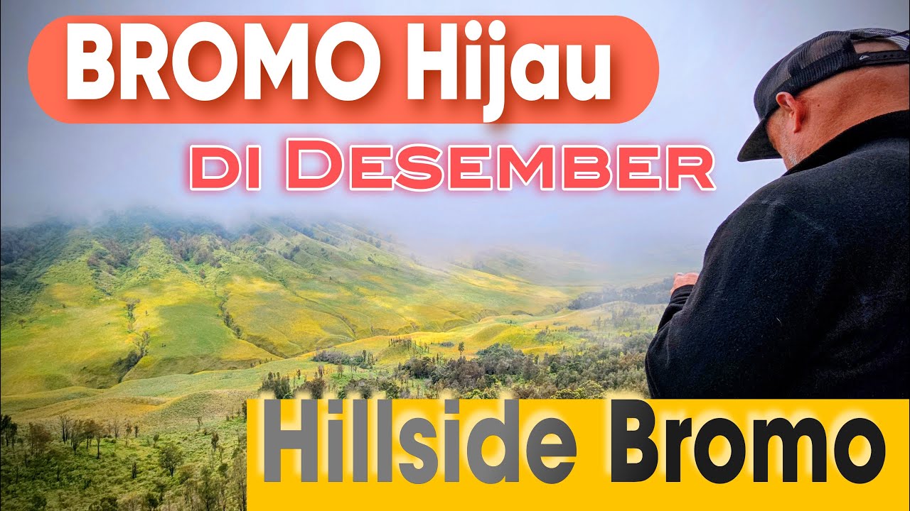 Explore Hillside Bromo Desember , Jalan Ekstrem, View Cantik, Udara 17°C , Bromo Malang#bromo