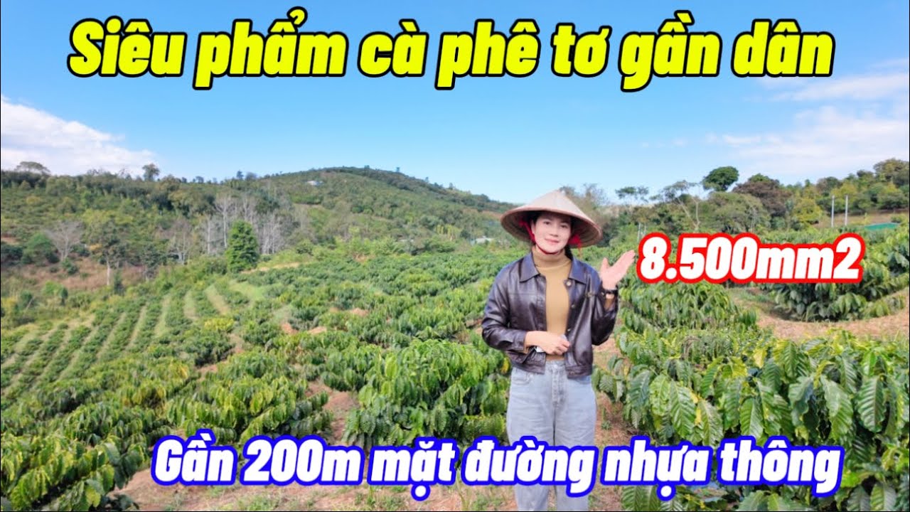 Cần tiền ăn Tết chủ bán gấp 8.500m2 gần ngay dân cư. Mặt đường nhựa gần 200m . Vào là mê . 