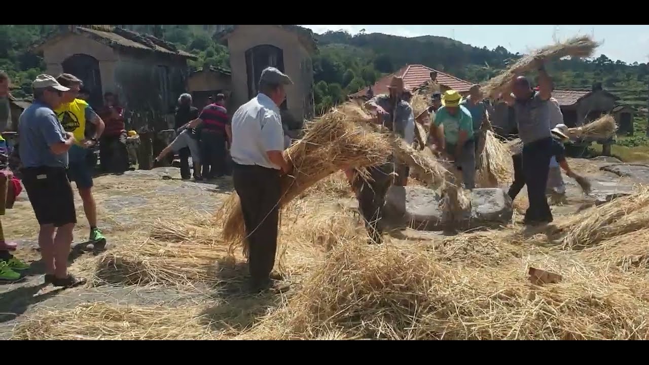 🎄 Malhada do Centeio na Vila de Lindoso I 2019
