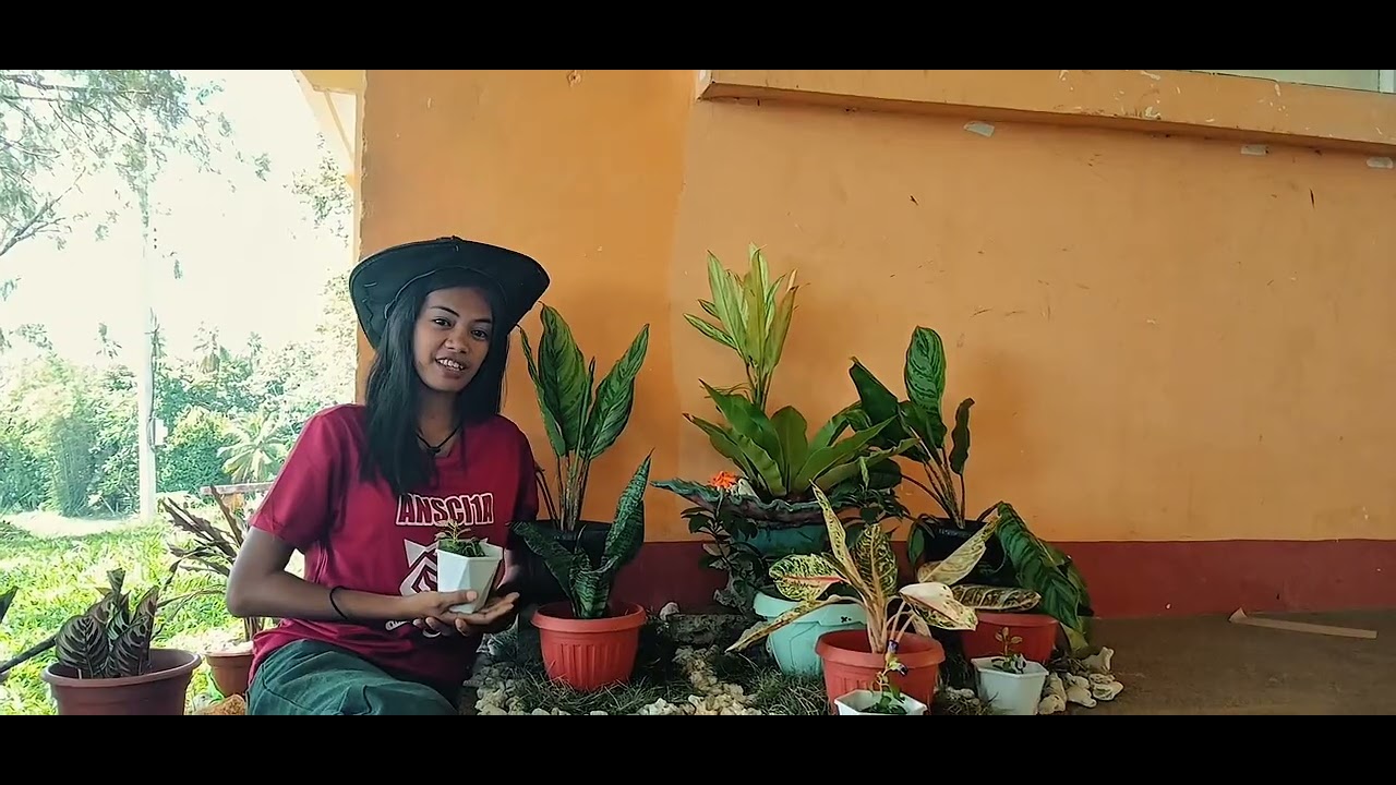 Animal Science 1A, Group 5 : National Greening Program (NGP) 