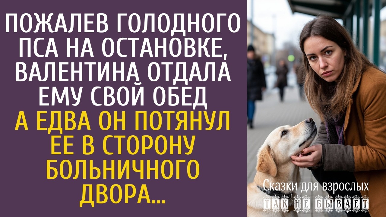 Пожалев голодного пса на остановке, Валентина отдала ему свой обед… А едва он потщали ее к больнице…