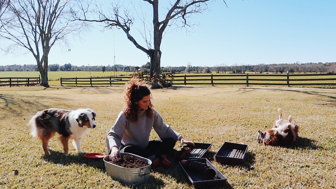 Spring Seed Starting 2022! Tips + Tricks |North Florida Gardening