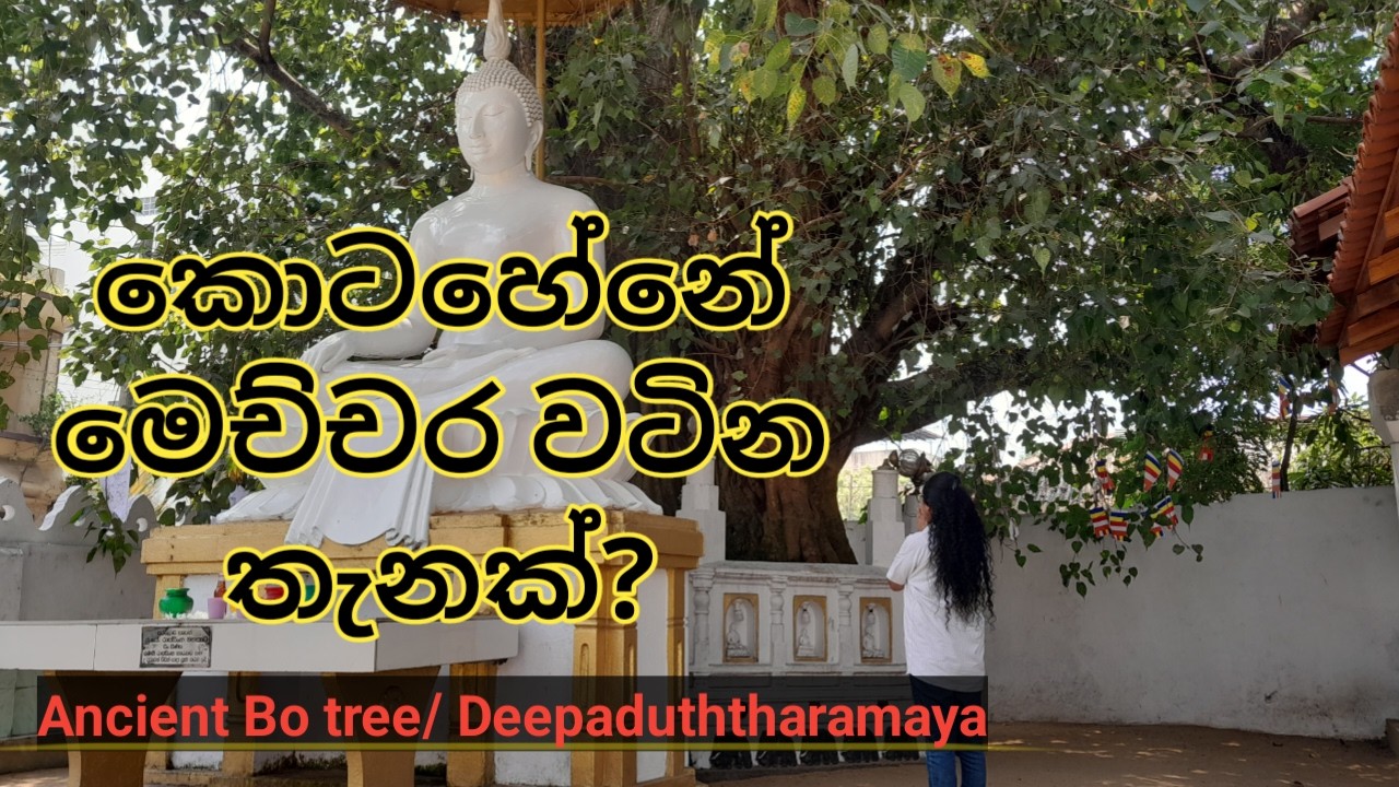 කොටහේන Deepaduththaramaya Thai Raja Maha Viharaya/@peacefulLifeDiary