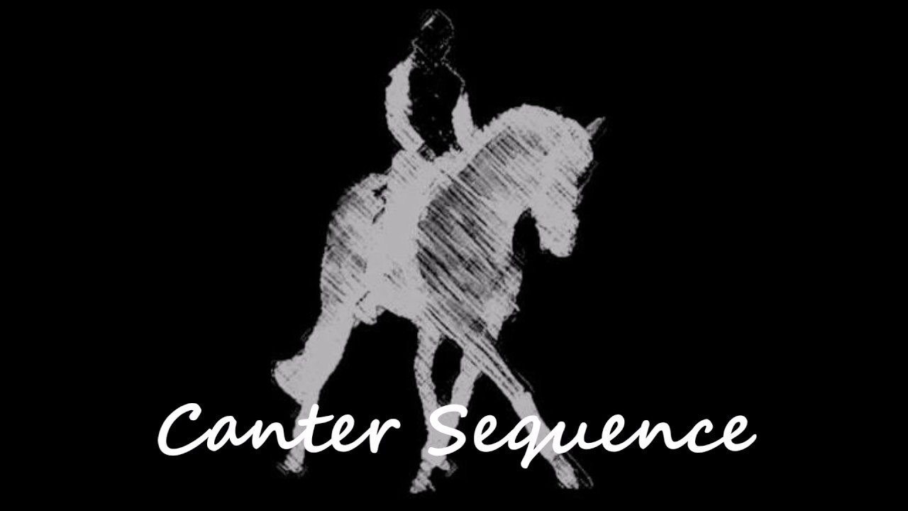 Fantastic Beasts, Dressage Freestyle music program