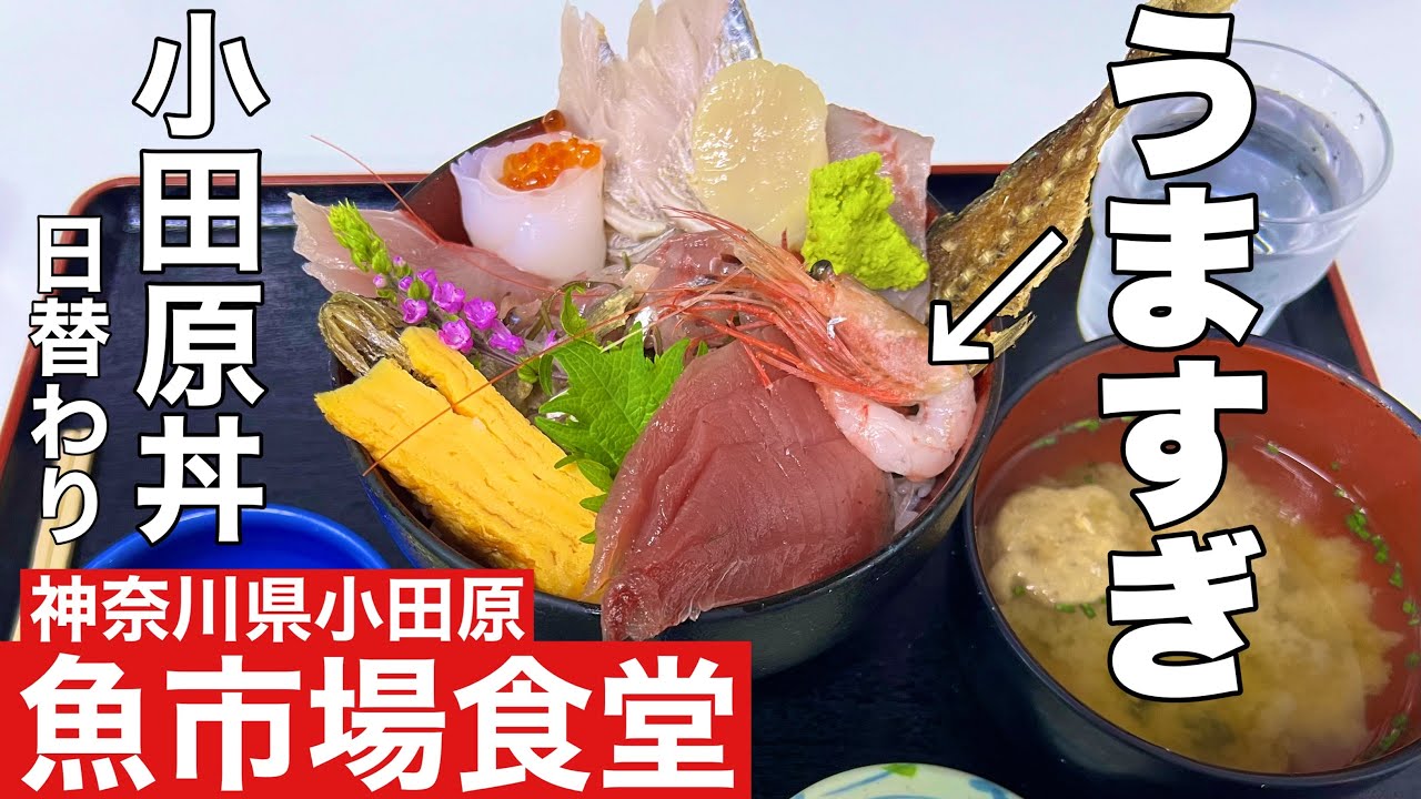 【小田原漁港(早川漁港)】知らなきゃ損！小田原グルメ 本日とれたての新鮮な海鮮丼を食べたらヤバすぎた。〔魚市場食堂〕