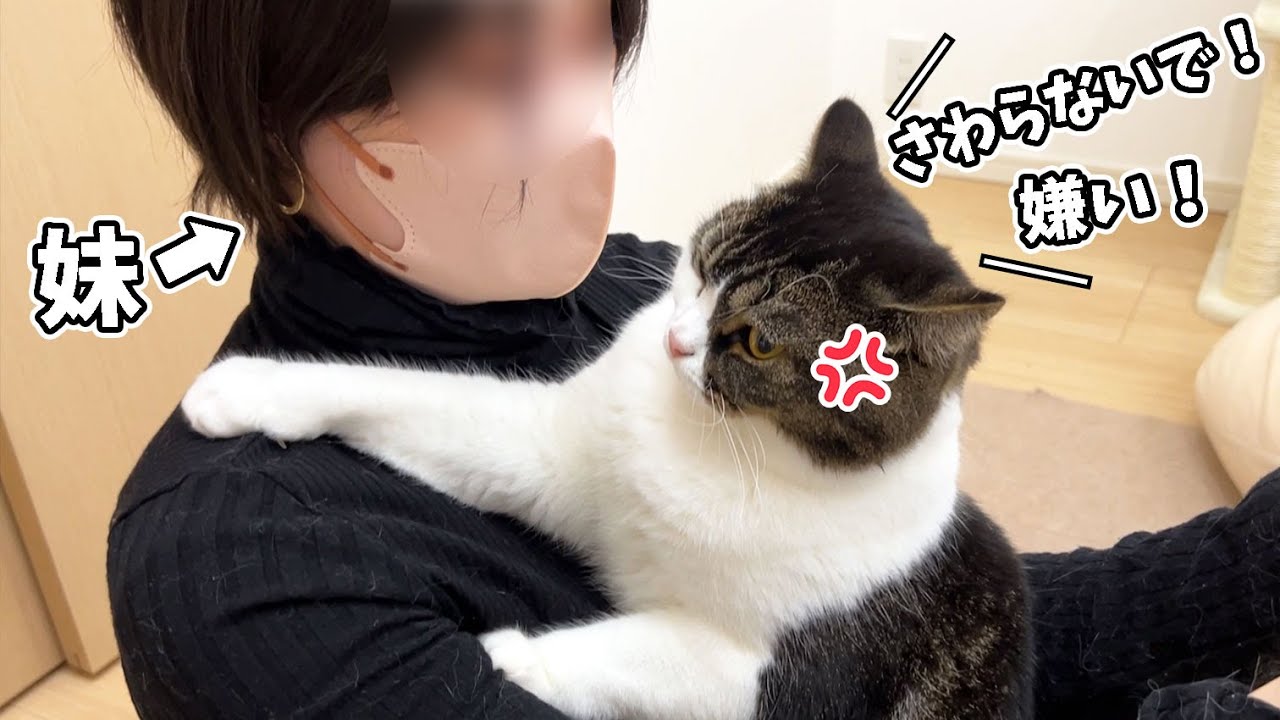 ついに大好きなママの妹を嫌いになった息子猫…涙