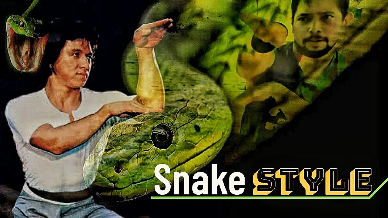 Estilo Serpente do Kung Fu e suas Aplicações
