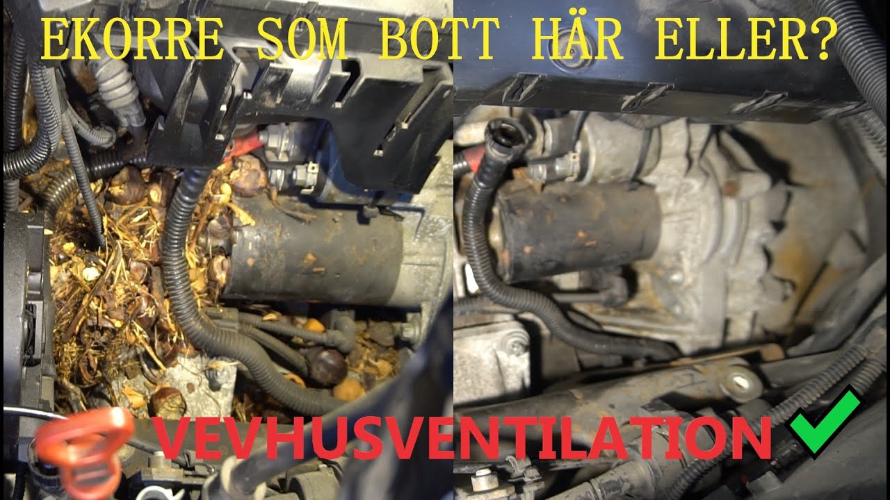 BYTE AV VEVHUSVENTILATION - PACKNINGAR M.M P&Aring; MIN BMW E46 -N42