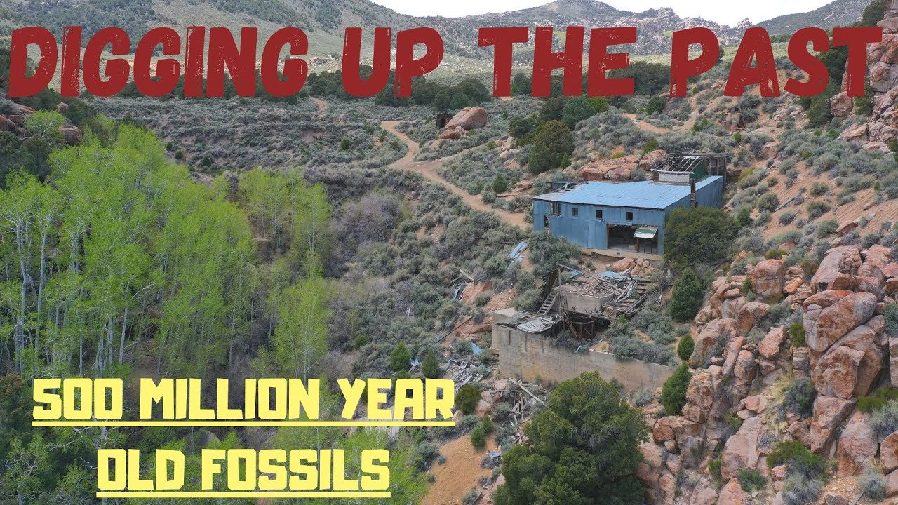 Central Nevada PT.4  Trilobite Fossil Hunting, Finding Caves, Amazing Canyon Drive, Cliff House, 4X4
